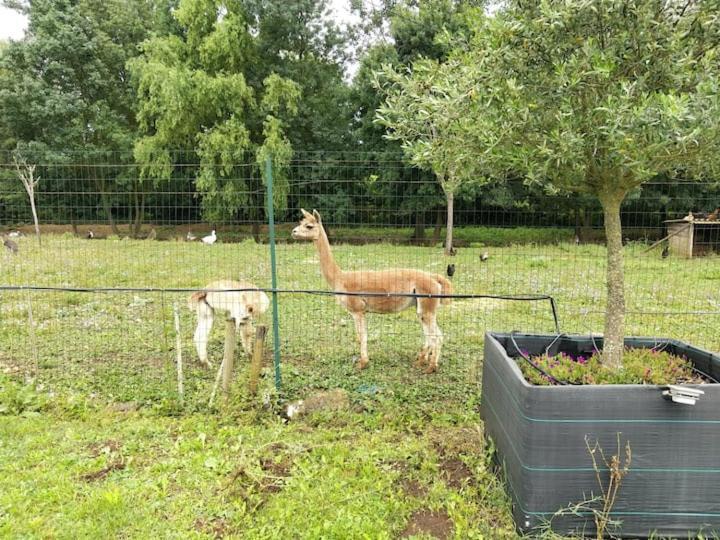 Belle Maison Du Quercy Septfonds 外观 照片